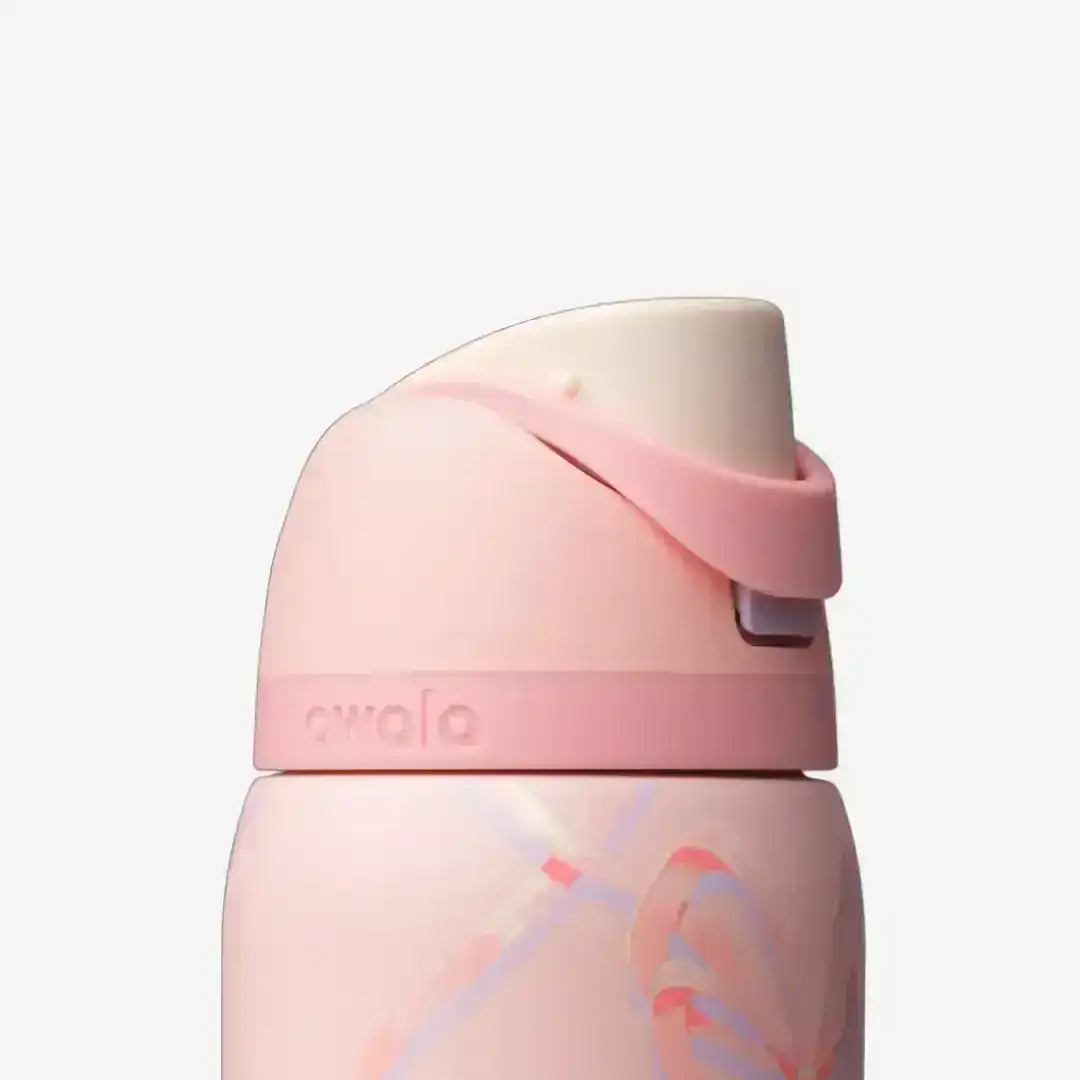 Reusable bottle with a hinged lid and carry loop, product views.