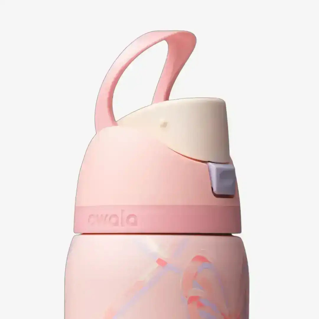 Reusable bottle with a hinged lid and carry loop, product views.